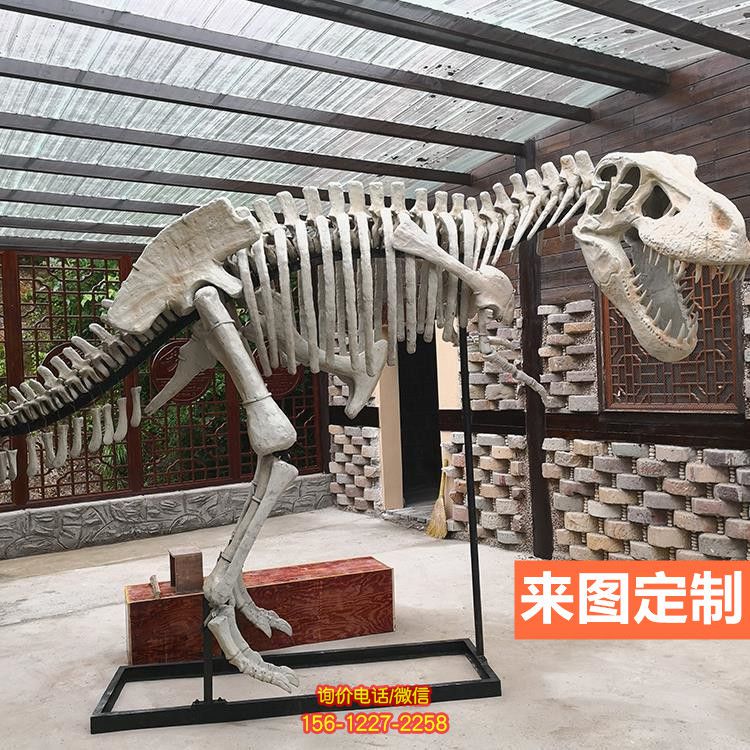 大型全新仿真恐龍骨架骨骼化石玻璃鋼景區(qū)博物館恐龍雕塑 大型全新仿真恐龍骨架骨骼化石玻璃鋼景區(qū)博物館恐龍雕塑